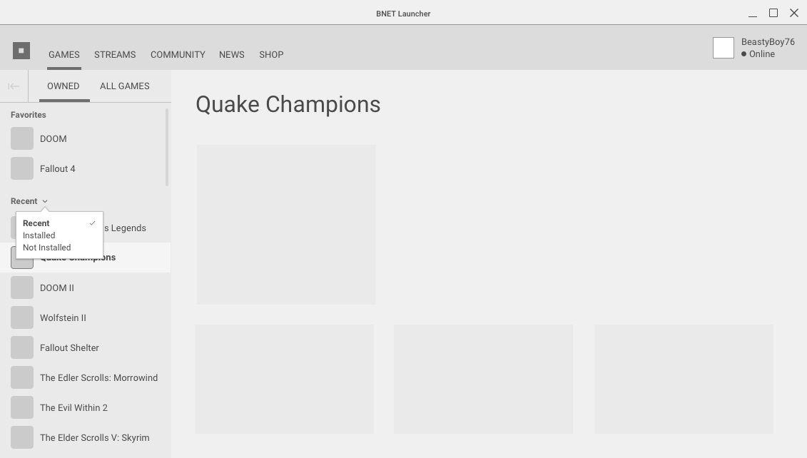 Bethesda launcher game library wireframe