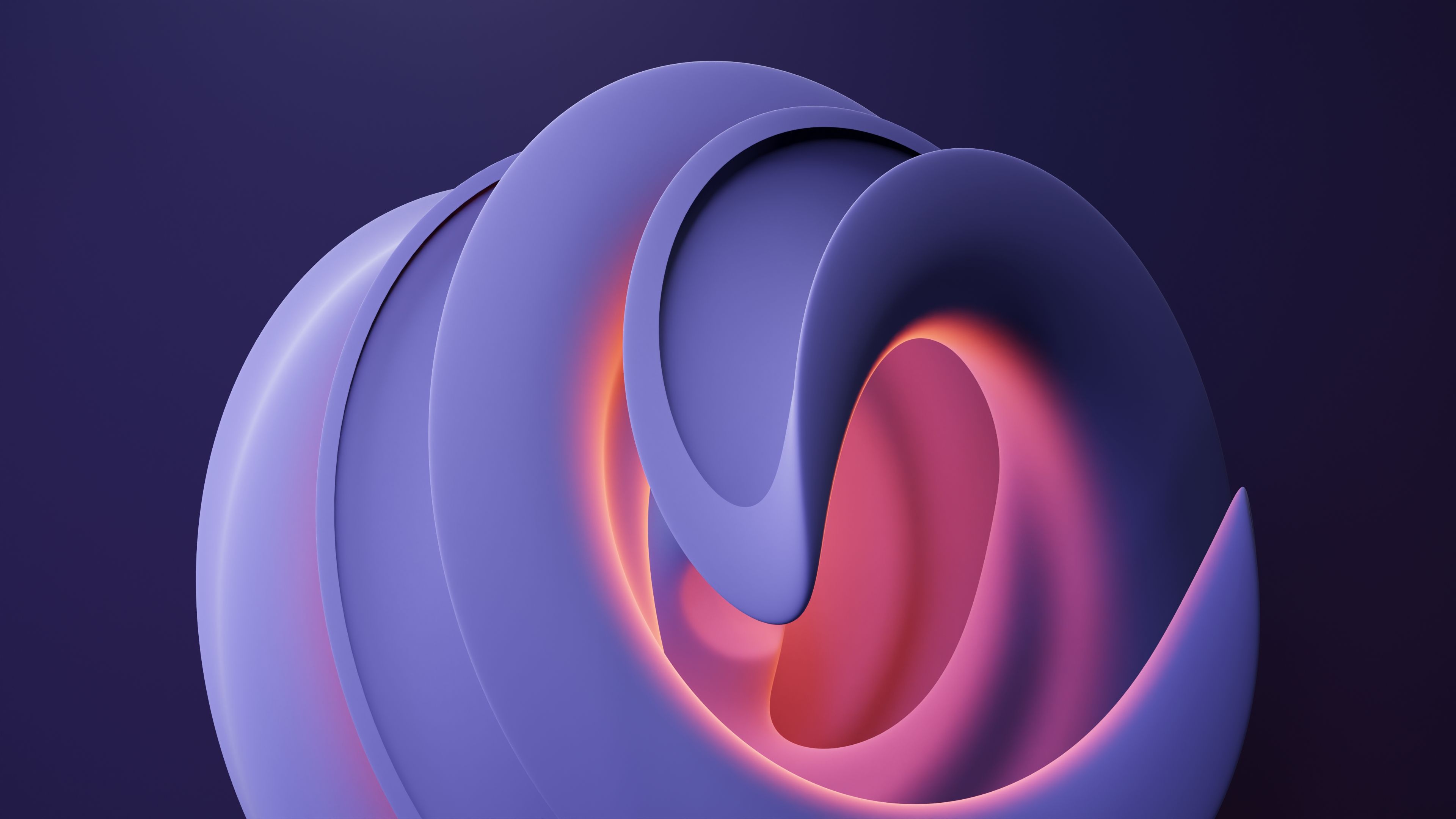Abstract flowing shapes in violet and coral